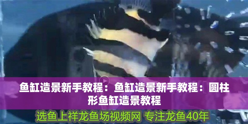 魚缸造景新手教程：魚缸造景新手教程：圓柱形魚缸造景教程
