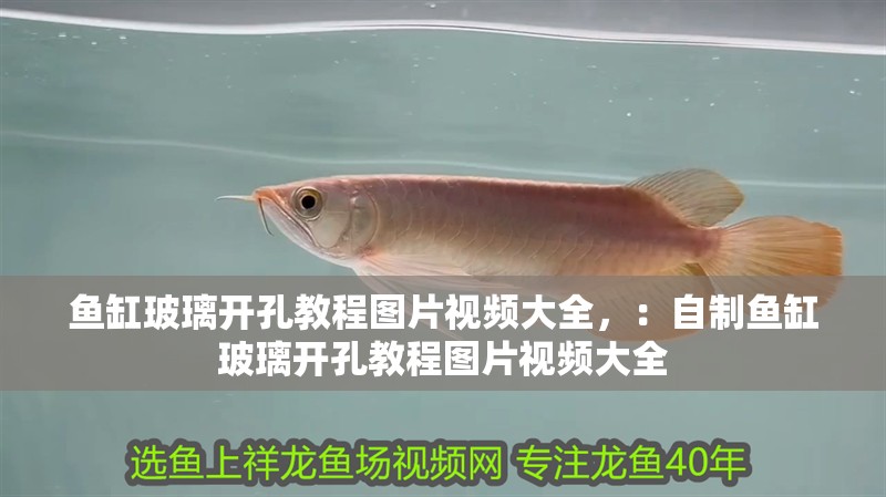 魚缸玻璃開孔教程圖片視頻大全，：自制魚缸玻璃開孔教程圖片視頻大全