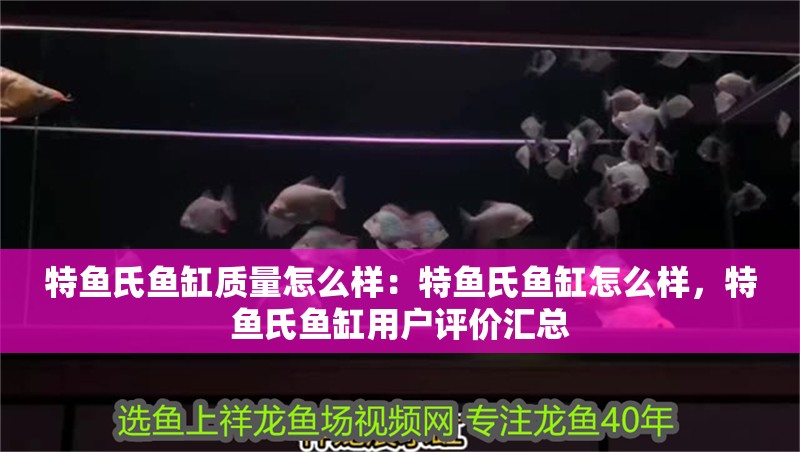 特魚氏魚缸質(zhì)量怎么樣：特魚氏魚缸怎么樣，特魚氏魚缸用戶評(píng)價(jià)匯總 特魚氏魚缸質(zhì)量怎么樣：特魚氏魚缸怎么樣，特魚氏魚缸用戶評(píng)價(jià)匯總 魚缸百科