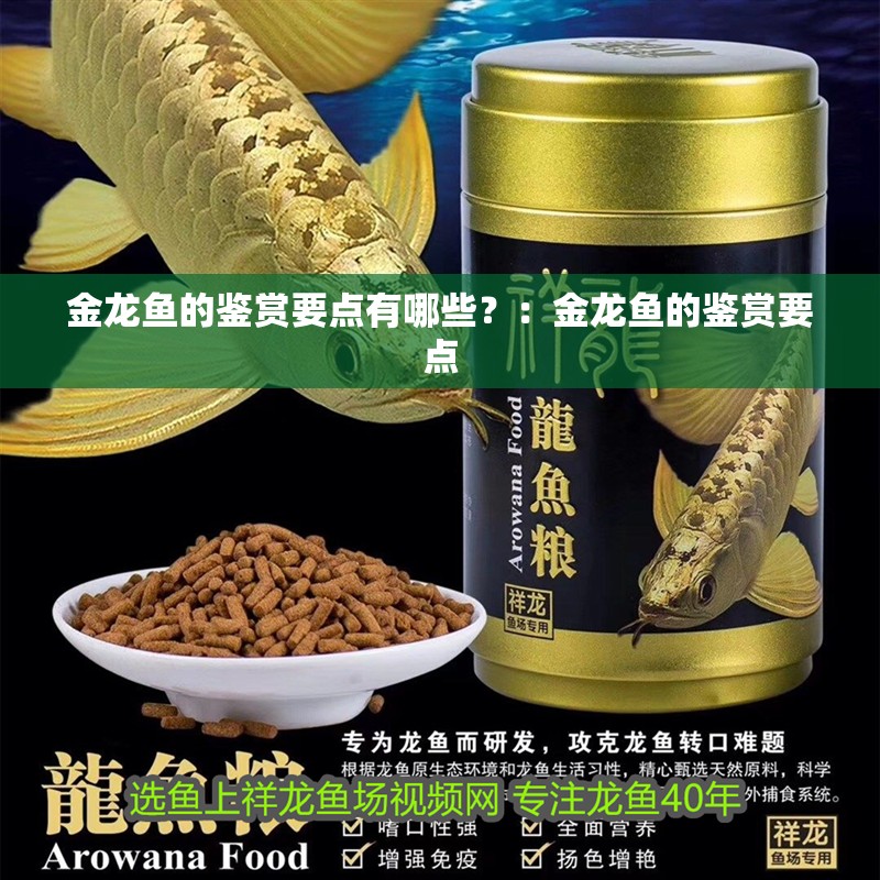 金龍魚的鑒賞要點有哪些？：金龍魚的鑒賞要點