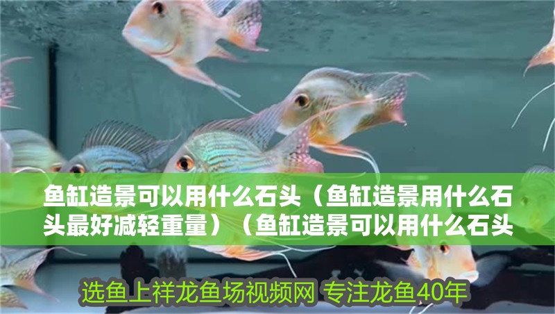 魚缸造景可以用什么石頭（魚缸造景用什么石頭最好減輕重量）（魚缸造景可以用什么石頭好，魚缸造景用什么石頭好松皮石）