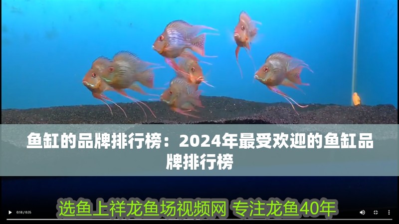 魚缸的品牌排行榜：2024年最受歡迎的魚缸品牌排行榜 魚缸的品牌排行榜：2024年最受歡迎的魚缸品牌排行榜 魚缸百科