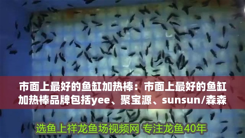 市面上最好的魚缸加熱棒：市面上最好的魚缸加熱棒品牌包括yee、聚寶源、sunsun/森森