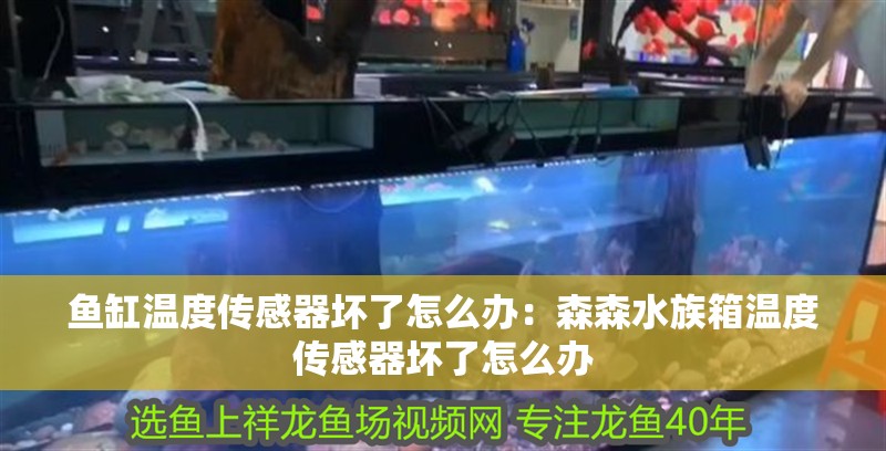 魚缸溫度傳感器壞了怎么辦：森森水族箱溫度傳感器壞了怎么辦