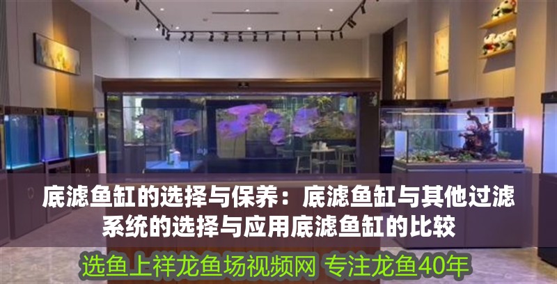 底濾魚缸的選擇與保養：底濾魚缸與其他過濾系統的選擇與應用底濾魚缸的比較 底濾魚缸的選擇與保養：底濾魚缸與其他過濾系統的選擇與應用底濾魚缸的比較 魚缸百科