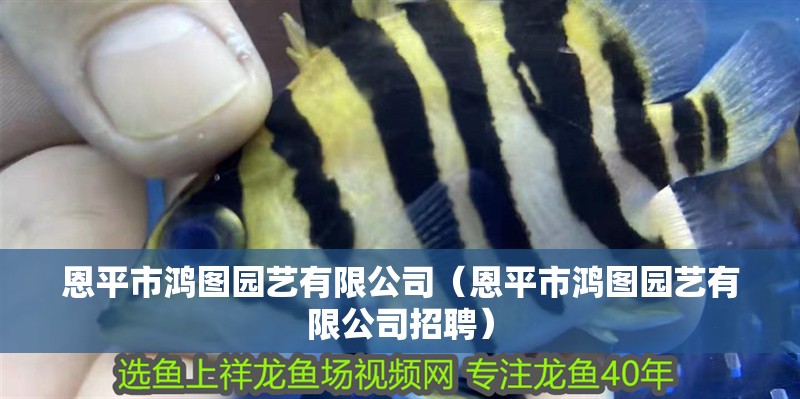 恩平市鴻圖園藝有限公司（恩平市鴻圖園藝有限公司招聘）