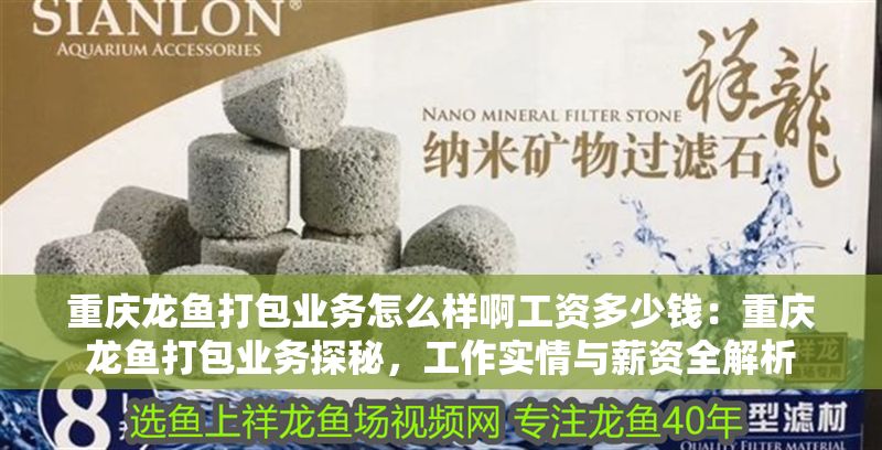 重慶龍魚打包業務怎么樣啊工資多少錢：重慶龍魚打包業務探秘，工作實情與薪資全解析