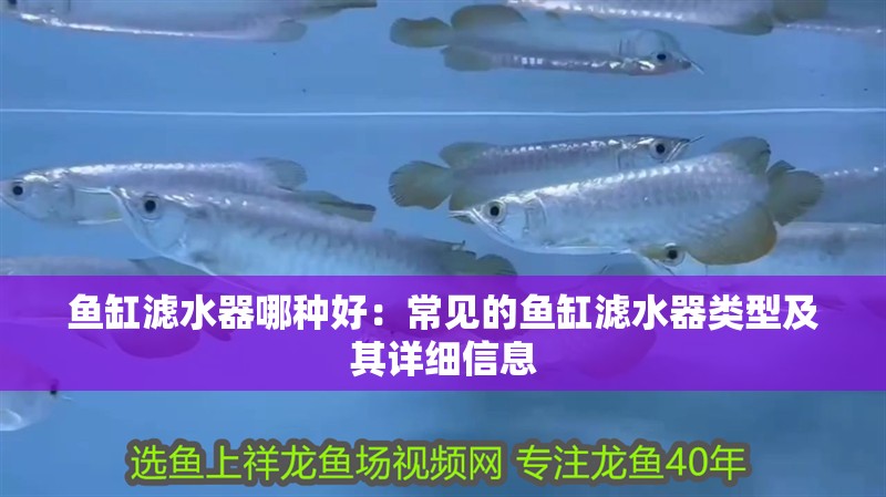 魚缸濾水器哪種好：常見的魚缸濾水器類型及其詳細信息
