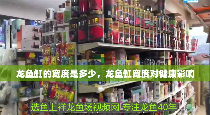 龍魚缸的寬度是多少，龍魚缸寬度對健康影響