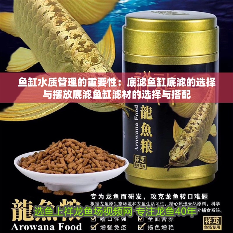 魚缸水質管理的重要性：底濾魚缸底濾的選擇與擺放底濾魚缸濾材的選擇與搭配