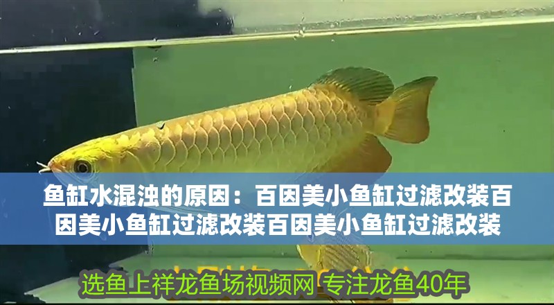 魚缸水混濁的原因：百因美小魚缸過濾改裝百因美小魚缸過濾改裝百因美小魚缸過濾改裝