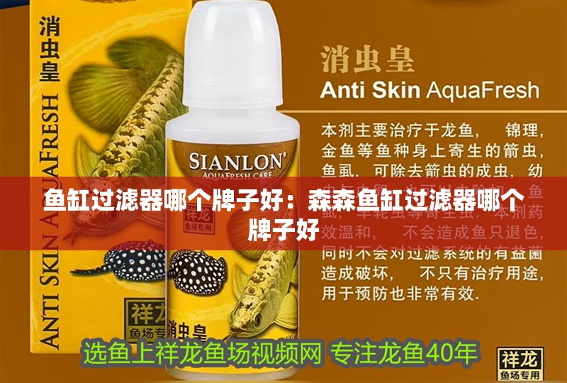 魚缸過濾器哪個牌子好：森森魚缸過濾器哪個牌子好