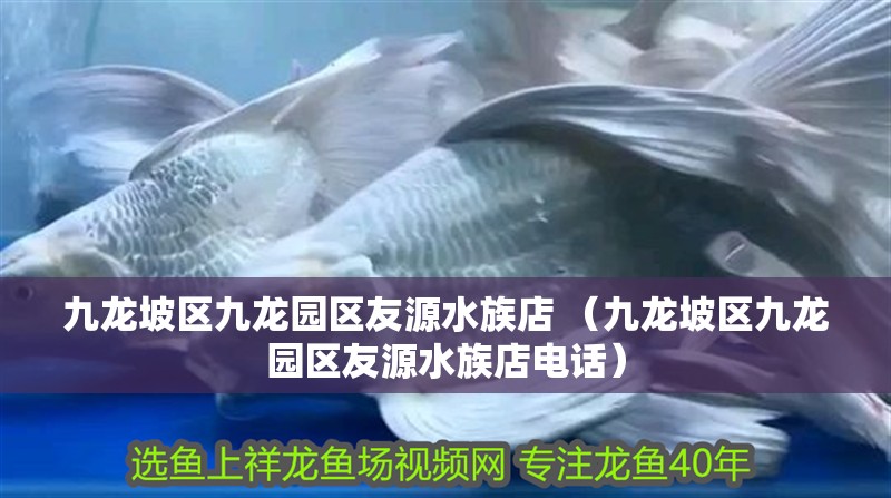 九龍坡區(qū)九龍園區(qū)友源水族店 （九龍坡區(qū)九龍園區(qū)友源水族店電話）