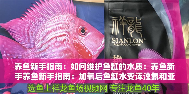 養魚新手指南：如何維護魚缸的水質：養魚新手養魚新手指南：加氧后魚缸水變渾濁氨和亞硝酸鹽 養魚新手指南：如何維護魚缸的水質：養魚新手養魚新手指南：加氧后魚缸水變渾濁氨和亞硝酸鹽 魚缸百科