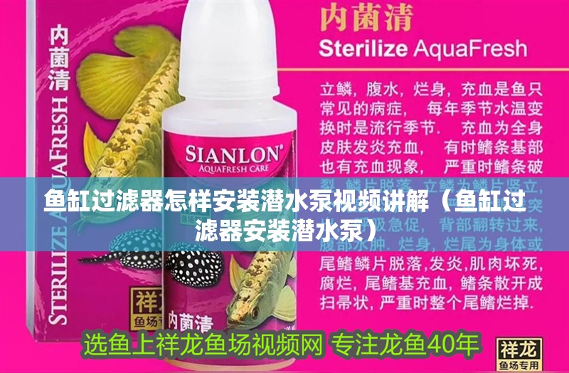 魚缸用增氧泵價格是多少:魚缸增氧機-xtrac增氧機-xtrac增氧機 魚缸過濾器怎樣安裝潛水泵視頻講解(魚缸過濾器安裝潛水泵) 魚缸百科 魚缸過濾器怎樣安裝潛水泵視頻講解(魚缸過濾器安裝潛水泵) 魚缸過濾器怎樣安裝潛水泵視頻講解(魚缸過濾器安裝潛水泵) 魚缸百科