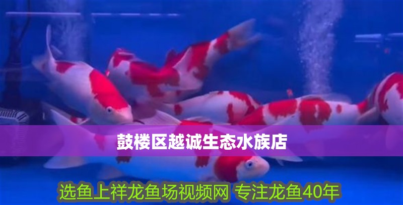 鼓樓區(qū)越誠(chéng)生態(tài)水族店