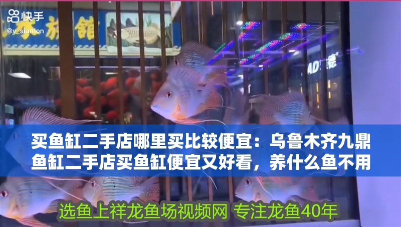 買魚缸二手店哪里買比較便宜：烏魯木齊九鼎魚缸二手店買魚缸便宜又好看，養(yǎng)什么魚不用加熱棒