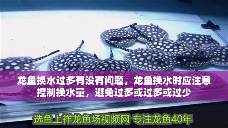龍魚換水過多有沒有問題，龍魚換水時應注意控制換水量，避免過多或過多或過少