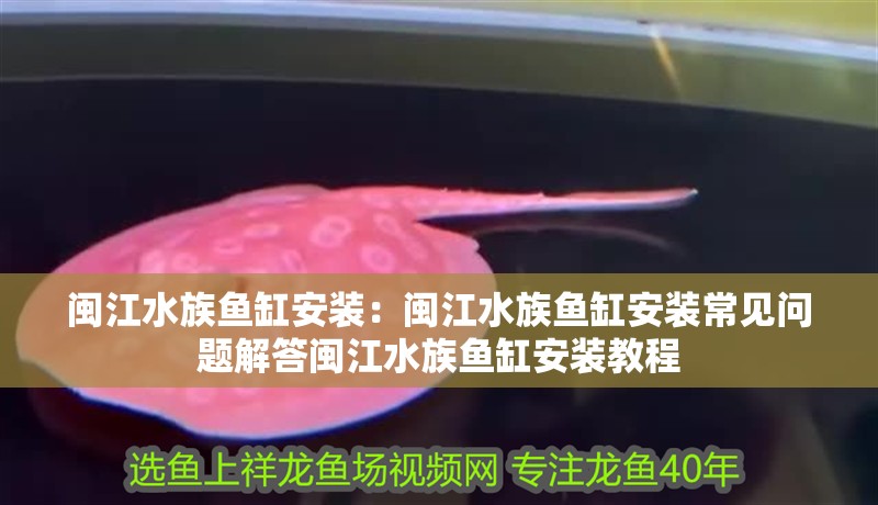 閩江水族魚缸安裝：閩江水族魚缸安裝常見問題解答閩江水族魚缸安裝教程