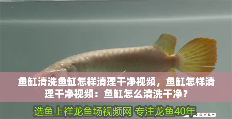 魚缸清洗魚缸怎樣清理干凈視頻，魚缸怎樣清理干凈視頻：魚缸怎么清洗干凈？