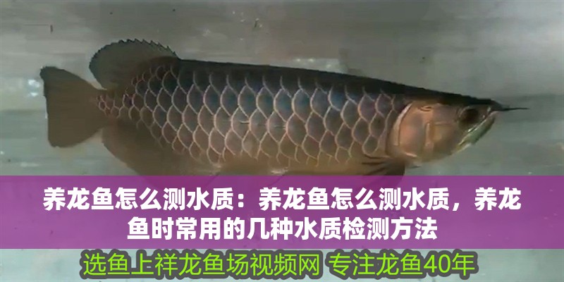 養(yǎng)龍魚怎么測(cè)水質(zhì)：養(yǎng)龍魚怎么測(cè)水質(zhì)，養(yǎng)龍魚時(shí)常用的幾種水質(zhì)檢測(cè)方法