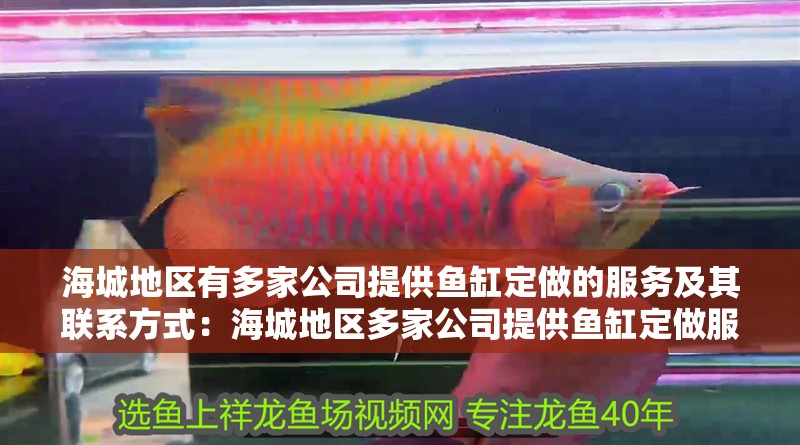 魚缸用增氧泵價格是多少:魚缸增氧機-xtrac增氧機-xtrac增氧機 海城地區有多家公司提供魚缸定做的服務及其聯系方式:海城地區多家公司提供魚缸定做服務 魚缸百科 海城地區有多家公司提供魚缸定做的服務及其聯系方式:海城地區多家公司提供魚缸定做服務 海城地區有多家公司提供魚缸定做的服務及其聯系方式:海城地區多家公司提供魚缸定做服務 魚缸百科