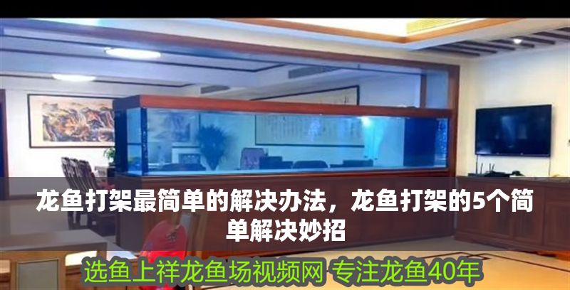 龍魚打架最簡單的解決辦法，龍魚打架的5個簡單解決妙招