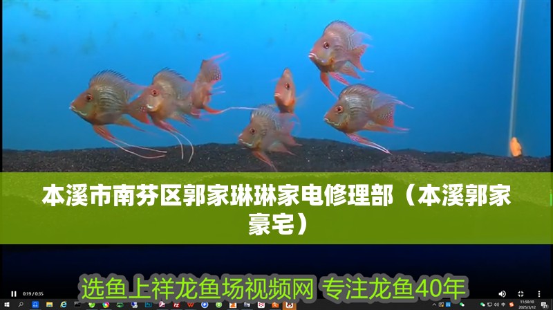 本溪市南芬區郭家琳琳家電修理部（本溪郭家豪宅） 本溪市南芬區郭家琳琳家電修理部（本溪郭家豪宅） 全國水族館企業名錄