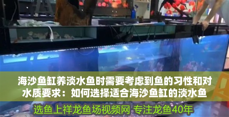 海沙魚缸養(yǎng)淡水魚時(shí)需要考慮到魚的習(xí)性和對(duì)水質(zhì)要求：如何選擇適合海沙魚缸的淡水魚