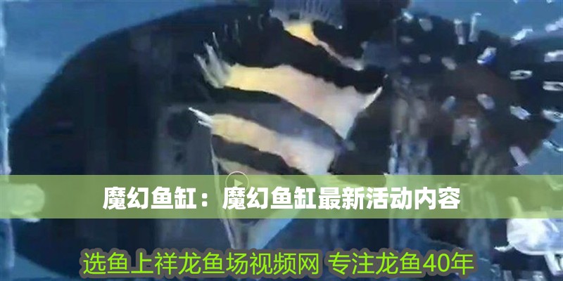 魔幻魚缸：魔幻魚缸最新活動內容