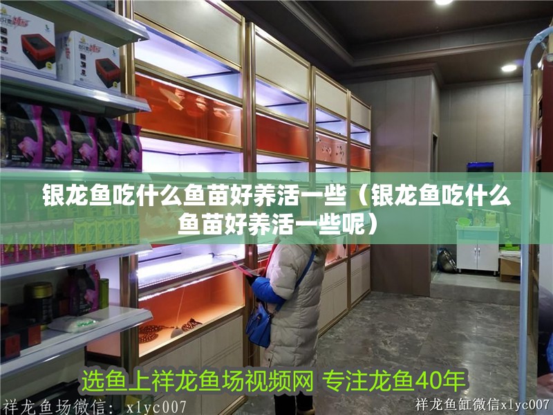 銀龍魚吃什么魚苗好養活一些（銀龍魚吃什么魚苗好養活一些呢）