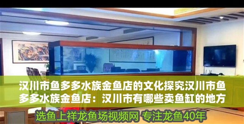 漢川市魚多多水族金魚店的文化探究漢川市魚多多水族金魚店：漢川市有哪些賣魚缸的地方？