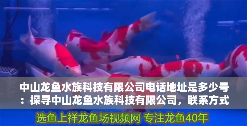 <strong><mark>中山</mark></strong>龍魚水族科技有限公司電話地址是多少號(hào)：探尋<strong><mark>中山</mark></strong>龍魚水族科技有限公司，聯(lián)系方式與公司全貌