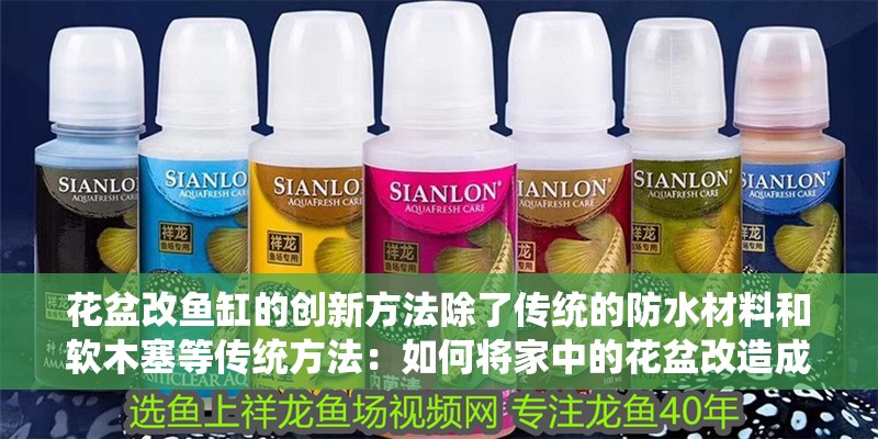 花盆改魚缸的創新方法除了傳統的防水材料和軟木塞等傳統方法：如何將家中的花盆改造成魚缸