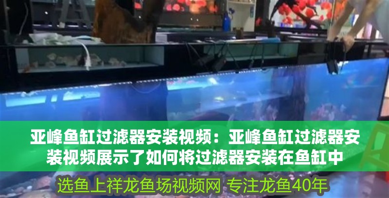 亞峰魚缸過濾器安裝視頻：亞峰魚缸過濾器安裝視頻展示了如何將過濾器安裝在魚缸中