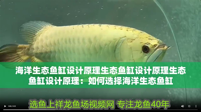 海洋生態(tài)魚缸設(shè)計(jì)原理生態(tài)魚缸設(shè)計(jì)原理生態(tài)魚缸設(shè)計(jì)原理：如何選擇海洋生態(tài)魚缸