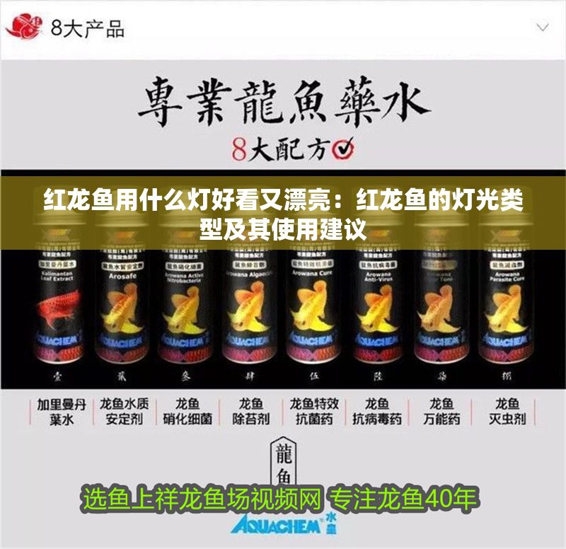 紅龍魚用什么燈好看又漂亮：紅龍魚的燈光類型及其使用建議