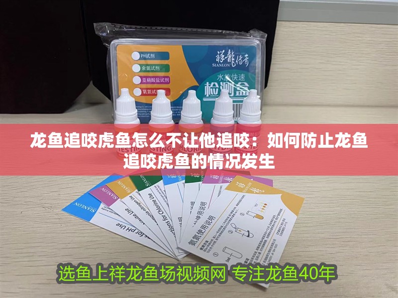 龍魚追咬虎魚怎么不讓他追咬：如何防止龍魚追咬虎魚的情況發生 龍魚追咬虎魚怎么不讓他追咬：如何防止龍魚追咬虎魚的情況發生 龍魚百科