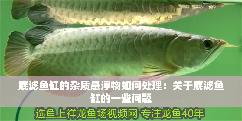 底濾魚缸的雜質(zhì)懸浮物如何處理：關(guān)于底濾魚缸的一些問題