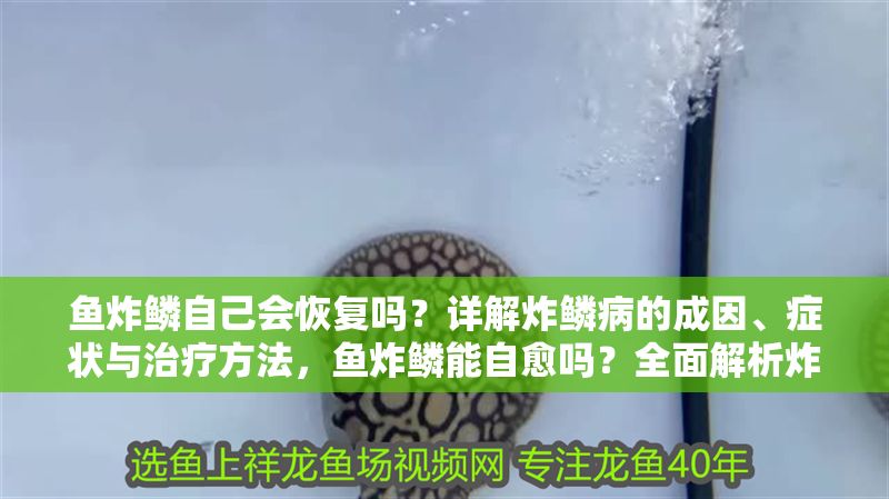 魚炸鱗自己會恢復嗎？詳解炸鱗病的成因、癥狀與治療方法，魚炸鱗能自愈嗎？全面解析炸鱗病的病因、癥狀及治療措施