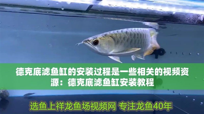 德克底濾魚缸的安裝過程是一些相關的視頻資源：德克底濾魚缸安裝教程