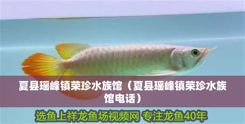 夏縣瑤峰鎮榮珍水族館（夏縣瑤峰鎮榮珍水族館電話）