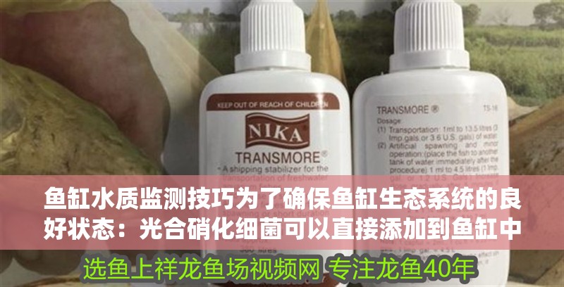 給大魚缸換水的作文:體驗給大魚缸換水的樂趣:體驗給大魚缸換水:給大魚缸換水的作文 魚缸水質監測技巧為了確保魚缸生態系統的良好狀態:光合硝化細菌可以直接添加到魚缸中嗎? 魚缸百科 魚缸水質監測技巧為了確保魚缸生態系統的良好狀態:光合硝化細菌可以直接添加到魚缸中嗎? 魚缸水質監測技巧為了確保魚缸生態系統的良好狀態:光合硝化細菌可以直接添加到魚缸中嗎? 魚缸百科