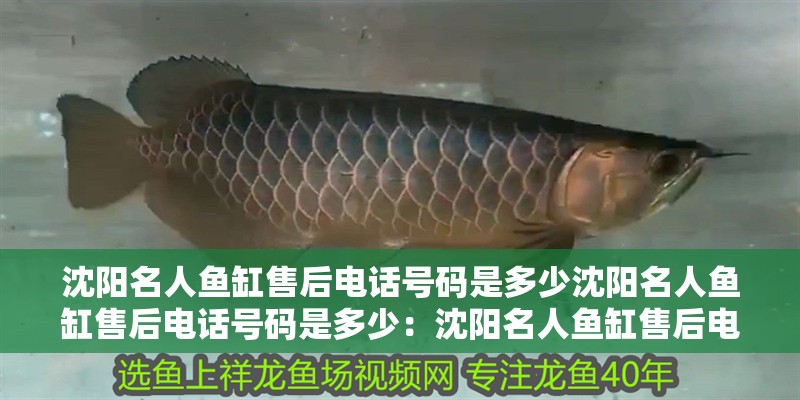 沈陽名人魚缸售后電話號(hào)碼是多少沈陽名人魚缸售后電話號(hào)碼是多少：沈陽名人魚缸售后電話號(hào)碼