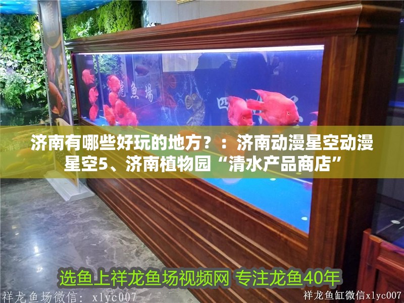 濟南有哪些好玩的地方？：濟南動漫星空動漫星空5、濟南植物園“清水產品商店”