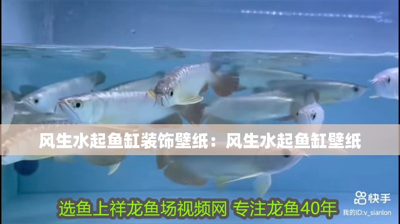 風生水起魚缸裝飾壁紙：風生水起魚缸壁紙