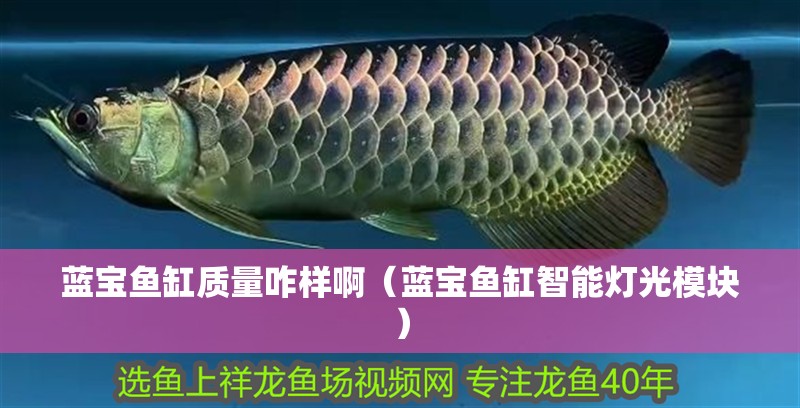 藍寶魚缸質量咋樣啊（藍寶魚缸智能燈光模塊）