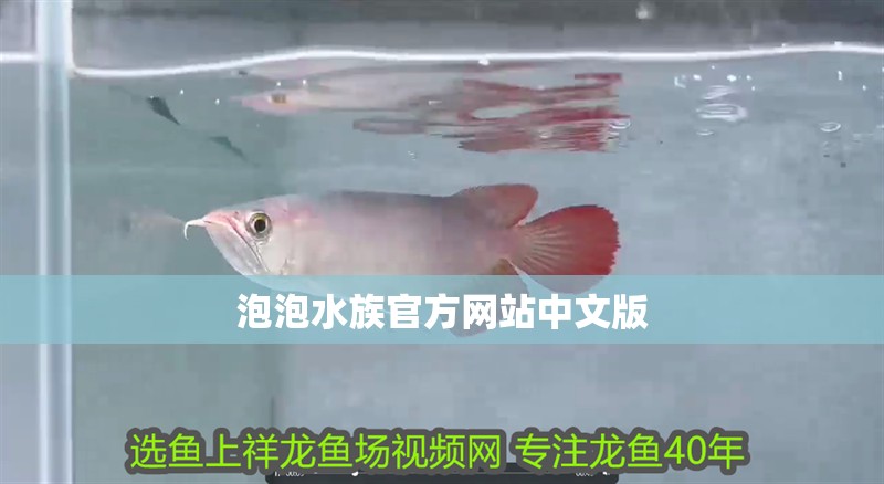 泡泡水族官方網(wǎng)站中文版