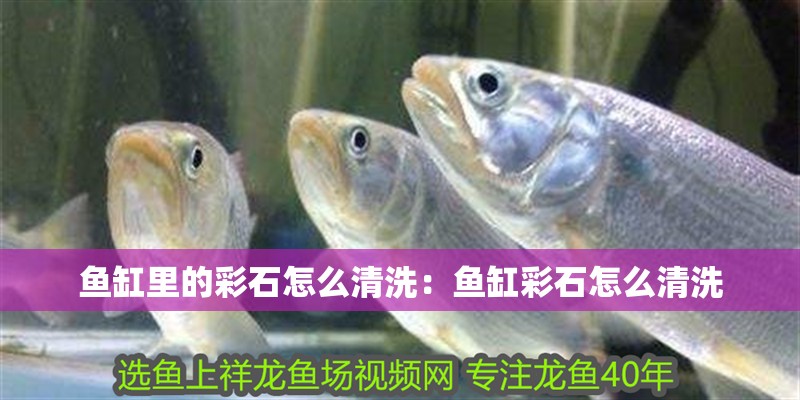 魚缸里的彩石怎么清洗：魚缸彩石怎么清洗