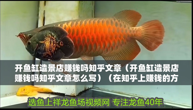 開魚缸造景店賺錢嗎知乎文章（開魚缸造景店賺錢嗎知乎文章怎么寫）（在知乎上賺錢的方式）